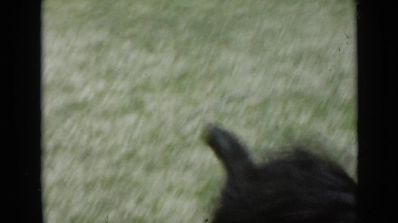 Blurred black dog moving across a green lawn with film edges visible.