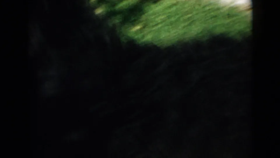 Blurred 1949 home-movie frame where the dog and lawn are partly obscured by motion and dark film borders.
