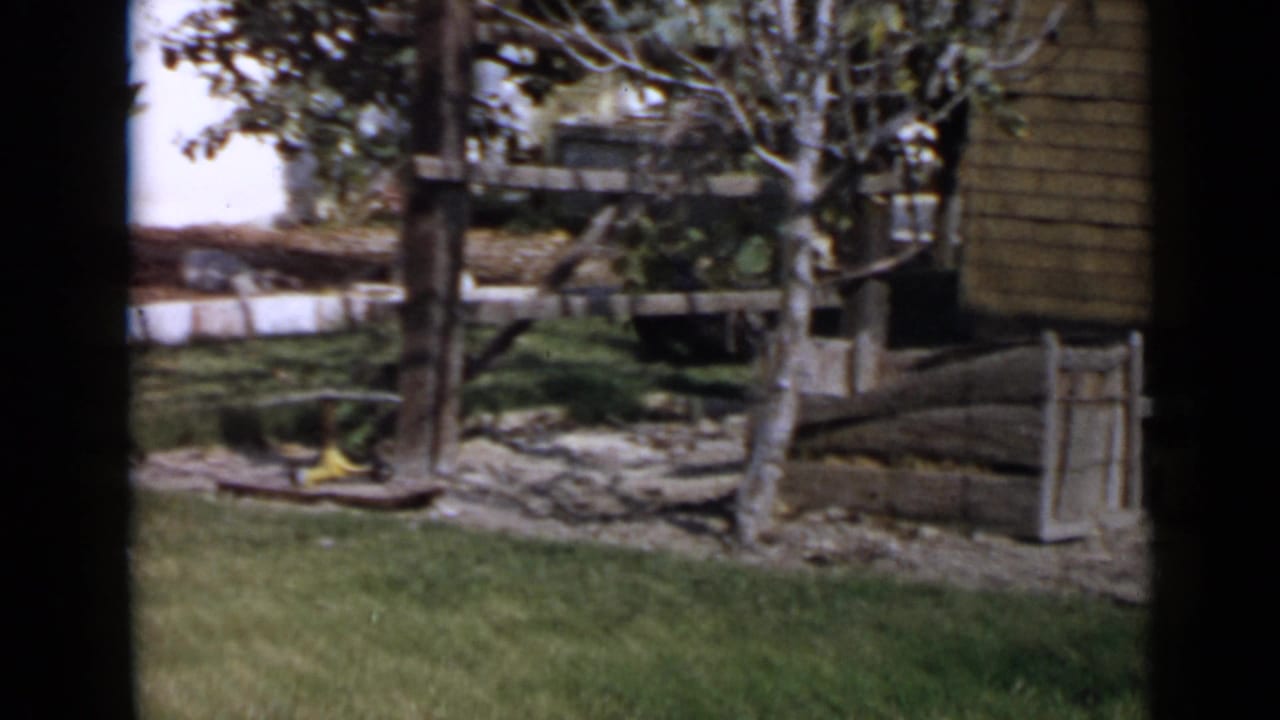 1949 San Diego home-movie frame showing a grassy yard with wooden fencing, trees, and a building edge before the dog crosses view.