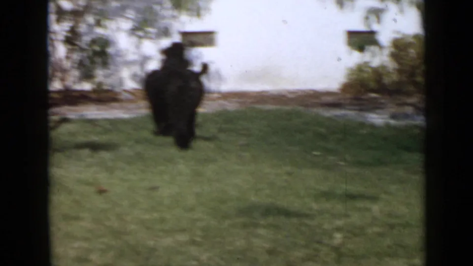 1949 San Diego frame with a black curly-coated dog moving across a grassy yard near a light-colored building wall.