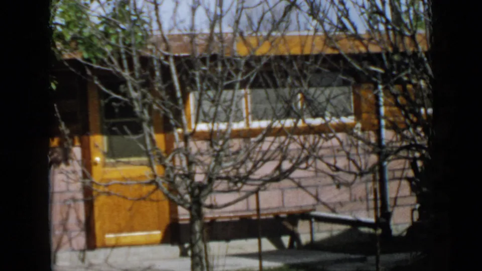 Home-movie view of a 1949 San Diego house exterior, with a bare tree trunk and branches in front of the orange door and white facade.