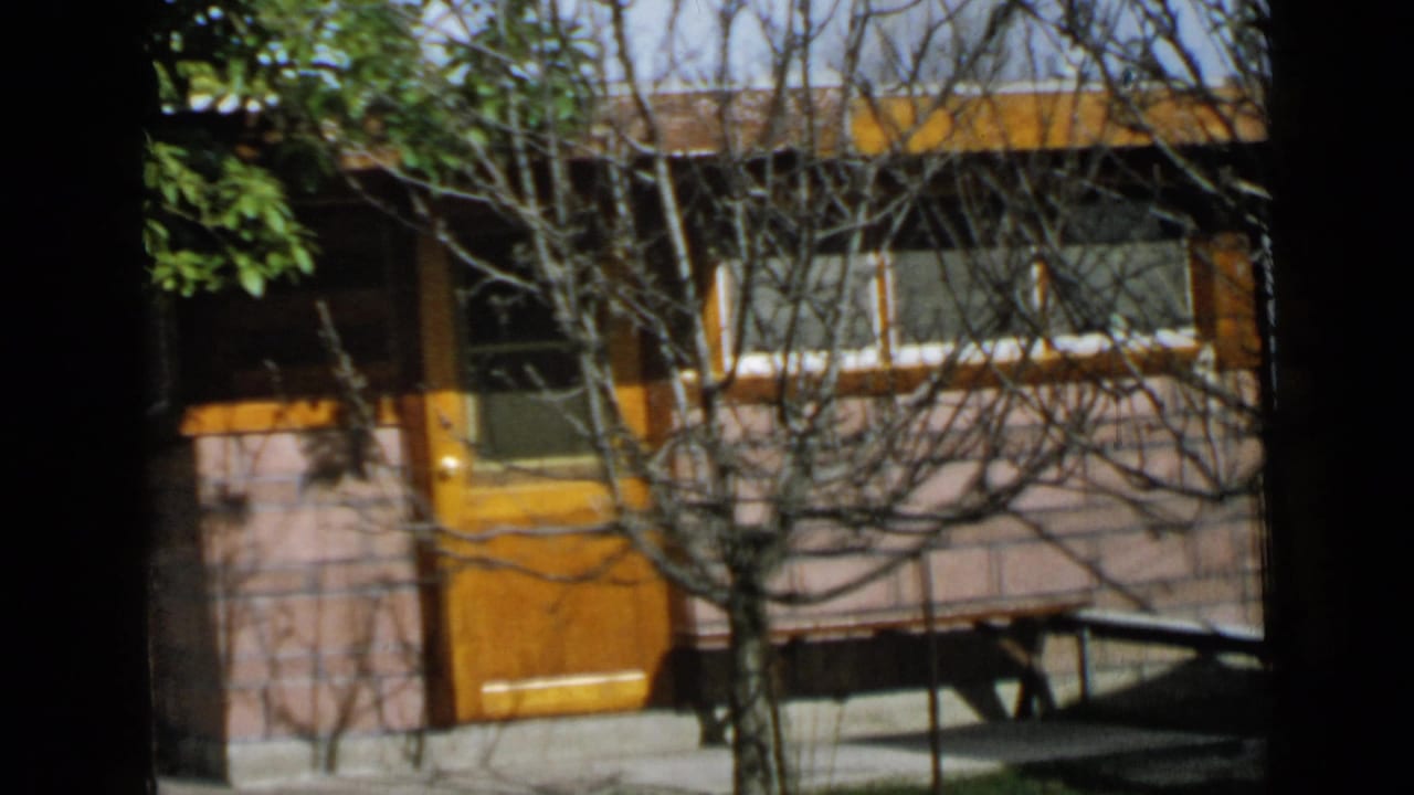 Small house exterior with yellow door, brick wall, windows, and bare tree branches in front.