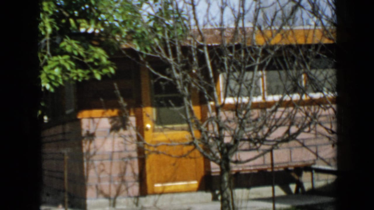 House facade with yellow door, shaded windows, bare branches, and leafy greenery at left.