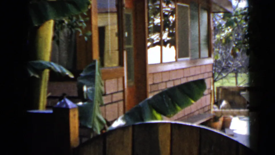 1949 San Diego frame with banana-like leaves foregrounding a wood-and-brick house exterior, screened windows, and porch posts.