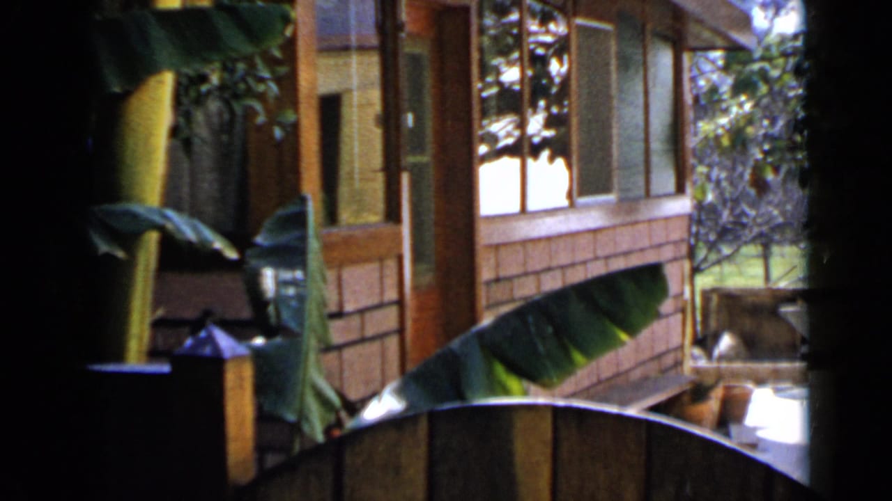 Brick house exterior partly framed by banana leaves and a curved wooden fence.