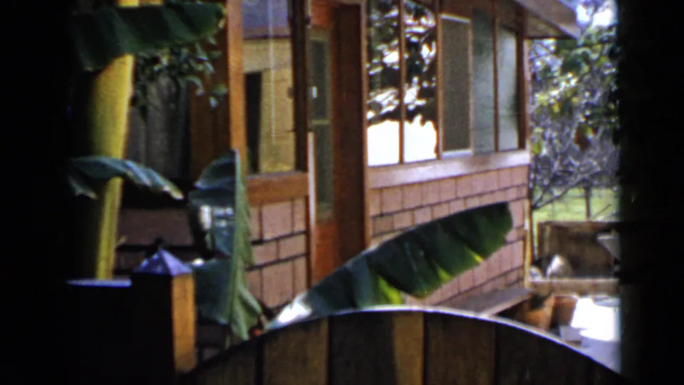 1949 San Diego 8mm frame showing a brick residential exterior with wood trim, banana leaves and a curved fence in the foreground.