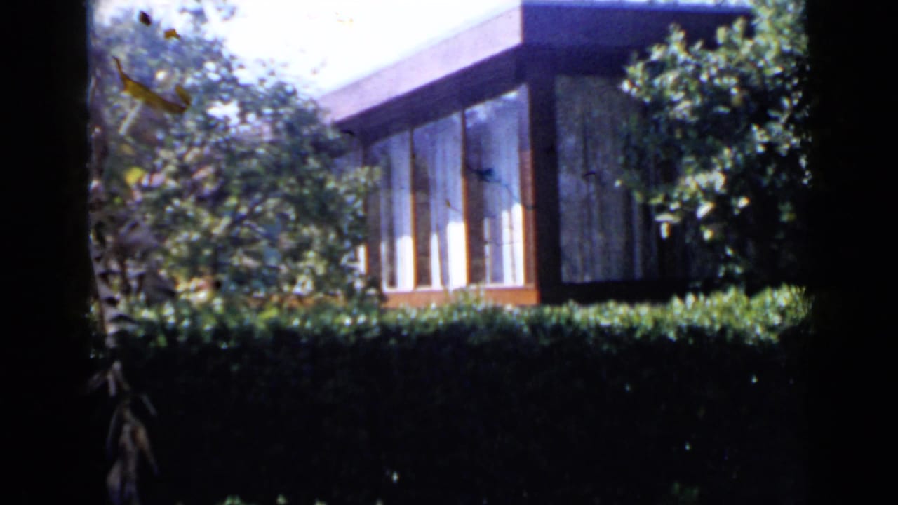 Low modern building partly hidden by hedge and trees in bright sun.