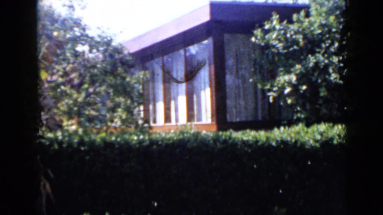 Building corner with tall windows framed by hedge, trees, and shadow.