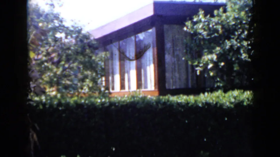 1949 San Diego frame showing a modern building corner, vertical window panels, a hedge, and surrounding leafy trees.