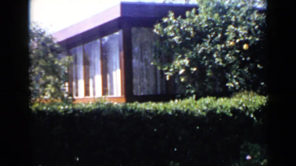 1949 San Diego frame of a modern exterior with tall windows, a dark hedge, and bright tree branches moving in front.