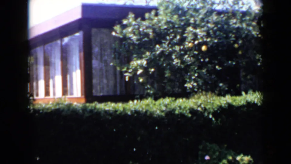 1949 San Diego home-movie frame with broad windows, a flat roof, hedge, and citrus branches partly obscuring the house.
