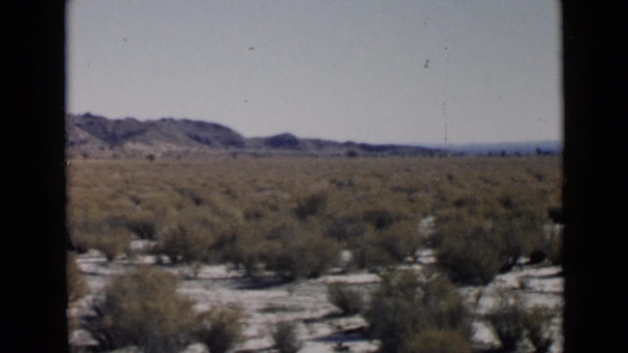 San Diego-area desert landscape with scrub, sandy ground, and low hills, with the group no longer visible in this frame.