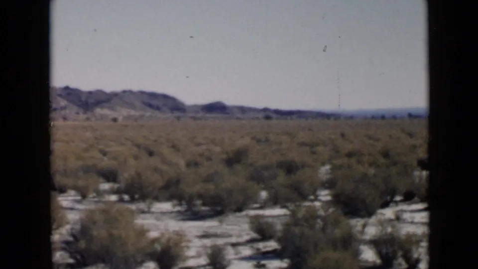 San Diego-area desert landscape with scrub, sandy ground, and low hills, with the group no longer visible in this frame.
