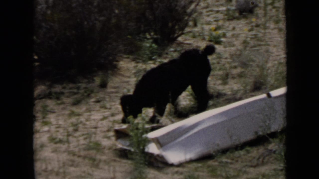 Black dog sniffing dry ground beside a light-colored object in brushy terrain.