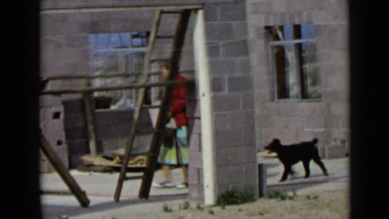 Woman in red jacket walks a black dog past cinder block walls and wood ladders.