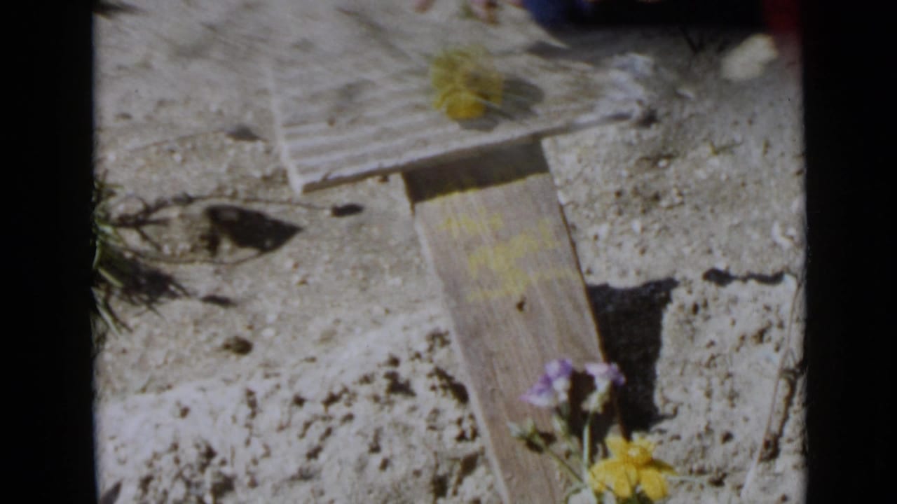 1949 San Diego home-movie frame showing a rough wooden cross set in sandy ground with a yellow flower and nearby purple and yellow blooms.