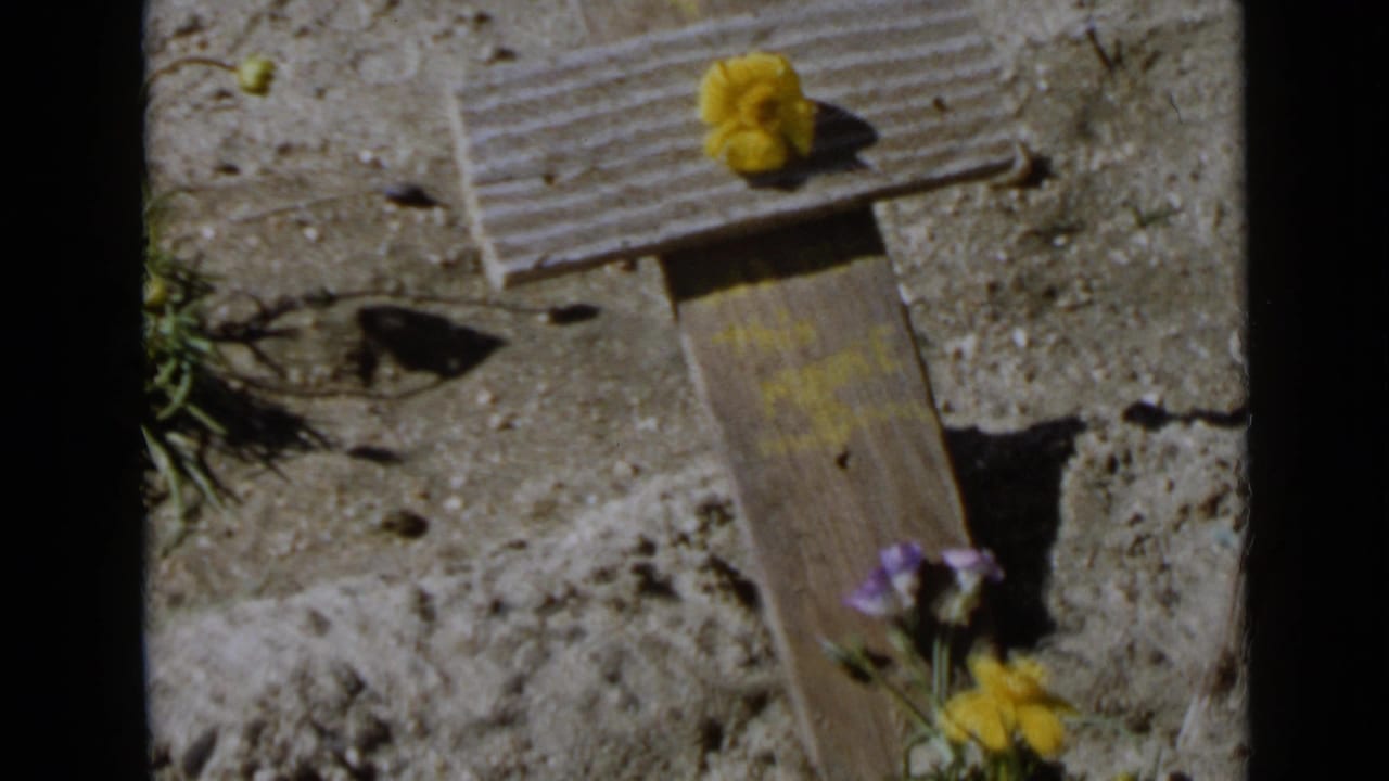 Wooden cross on dry ground with a yellow flower on the crosspiece and wildflowers near the base.