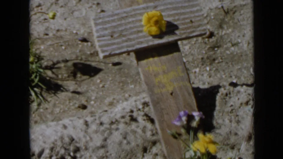 1949 San Diego home-movie frame of a simple wooden cross in bright sun, with a yellow flower on the crossbeam and small blooms nearby.