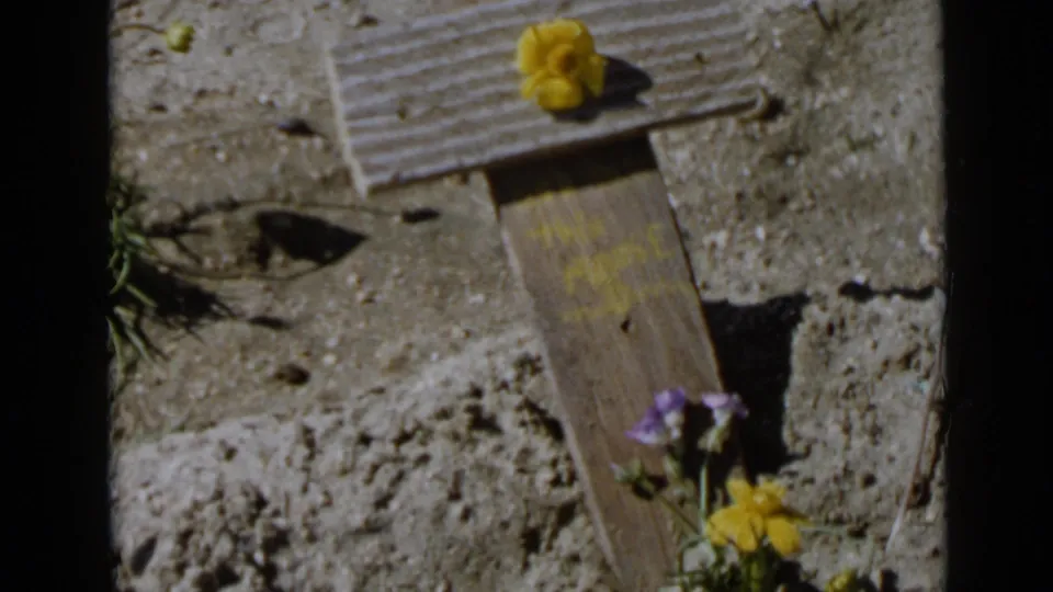 1949 San Diego home-movie frame showing a handmade wooden cross, rough soil, scattered stones, and small flowers under strong daylight.