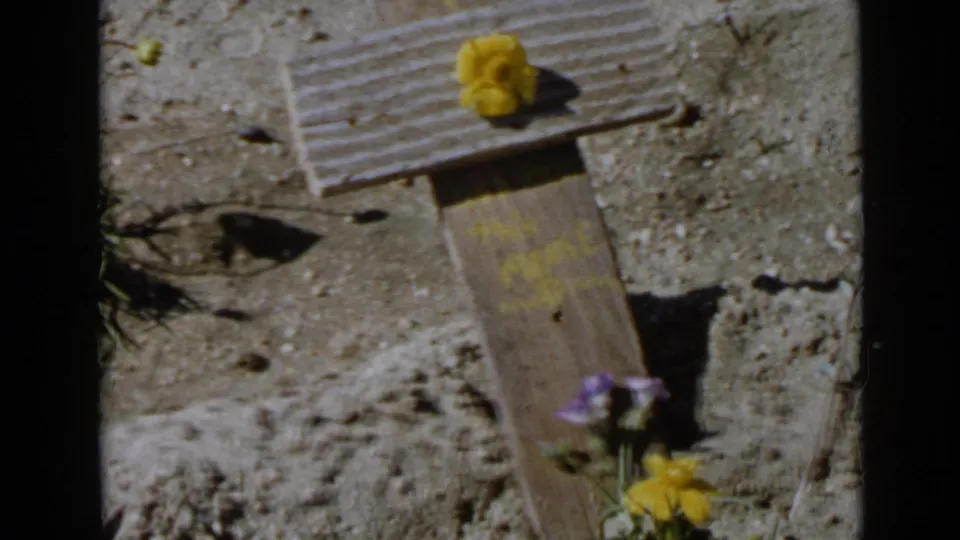 1949 San Diego home-movie frame of a rustic wooden cross in dry ground, with flowers arranged around the marker in bright sun.