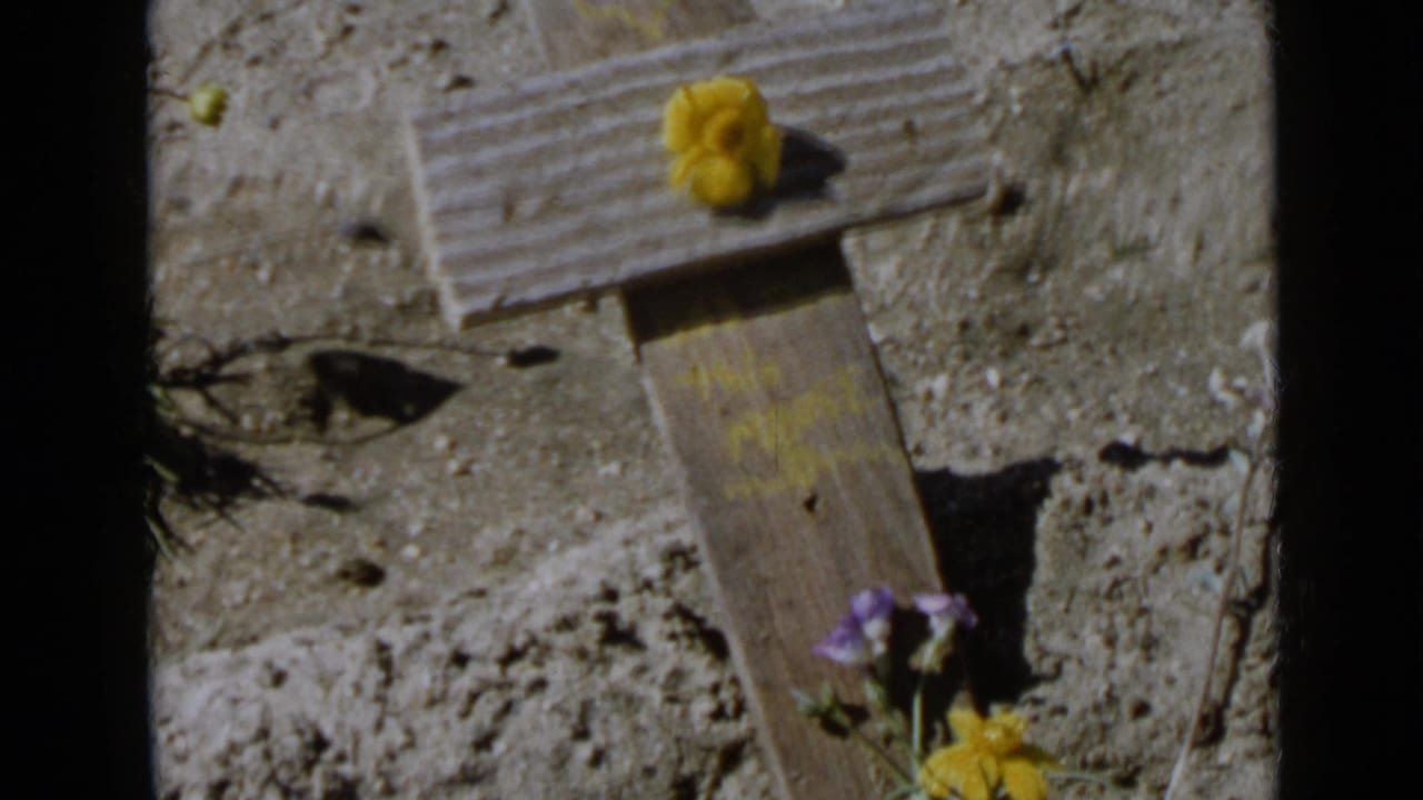 1949 San Diego-area 8mm frame showing a small wooden cross decorated with yellow and purple flowers in dry sandy soil.