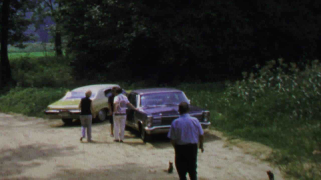Two cars are parked near trees while three adults stand beside them and a fourth person nears the group.