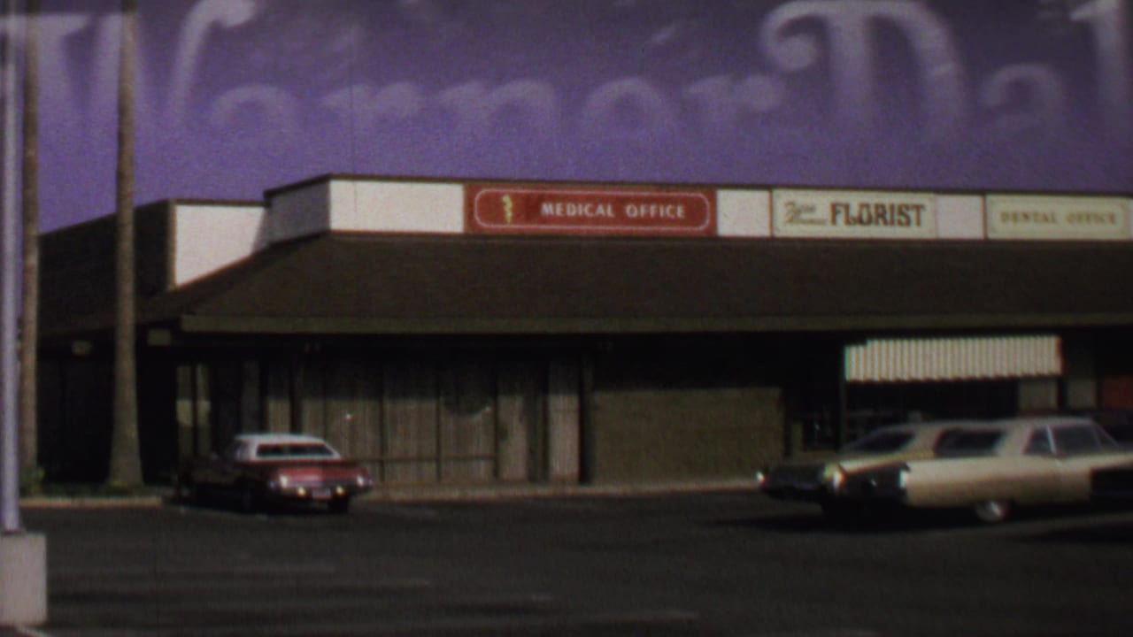 Low-rise plaza storefronts with medical office, florist, and parked cars.