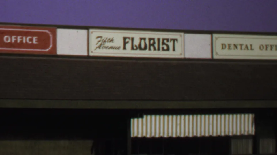 Close view of a Washington DC commercial facade in 1969, centered on florist and dental office signage.