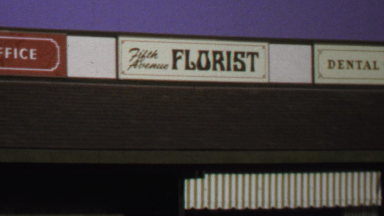 Close view of a Fifth Avenue Florist sign with adjacent dental and office signage.