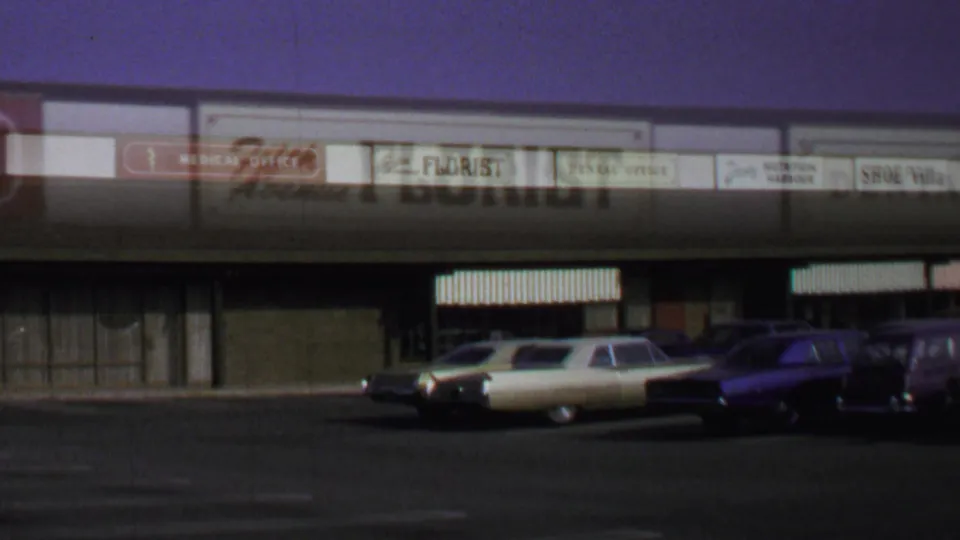 Wider 1969 Washington, DC view of a retail row with florist, medical, dental, and shoe shop signs above parked cars.