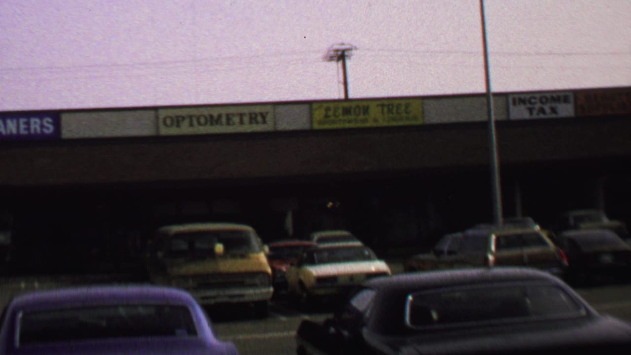 Closer view of storefront signs above parked cars, including cleaners, optometry, and Lemon Tree signs.