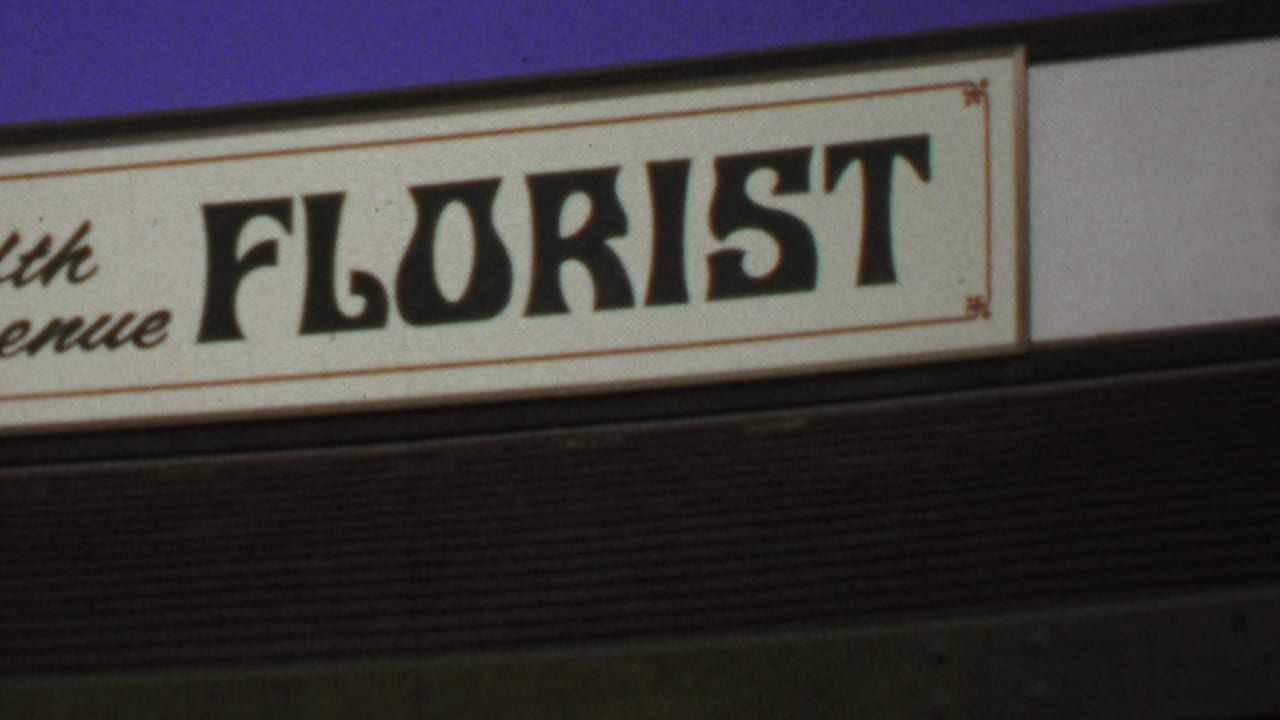 The camera frames the Fifth Avenue Florist sign in Washington, DC, with cream background, black lettering, and blue fascia above.