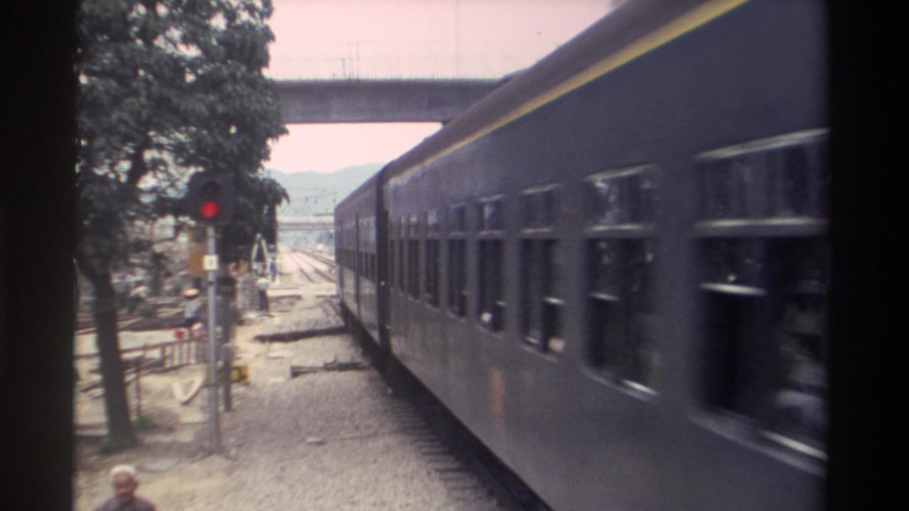 Dark blue-grey passenger train passing along tracks; red signal light at left, concrete overpass above, mature trees and a trackside figure visible.