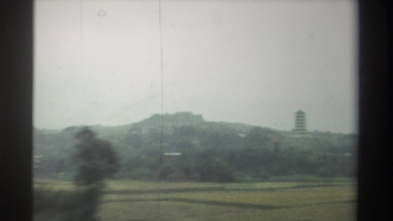Passing rural landscape, Taiwan circa 1982 — flat agricultural fields, low forested hills, and a pagoda tower against an overcast gray sky, shot from a moving vehicle.