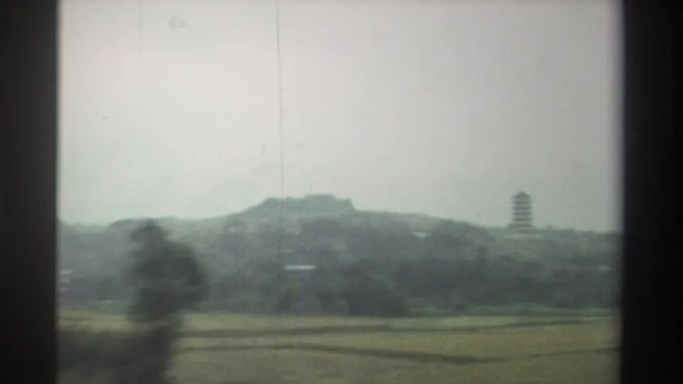 Passing rural landscape, Taiwan circa 1982 — flat agricultural fields, low forested hills, and a pagoda tower against an overcast gray sky, shot from a moving vehicle.
