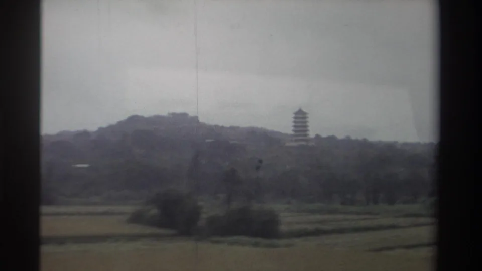 Receding rural view, Taiwan circa 1982 — flat fields, tree-lined hills, and a multi-tiered pagoda clearly visible on the right under a uniform gray overcast.