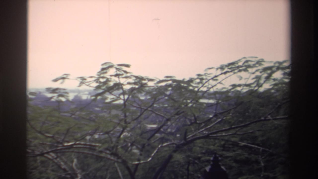 1982 Taiwan 8mm frame showing leafy treetops, bare branches, and a hazy distant skyline through a dark window frame.
