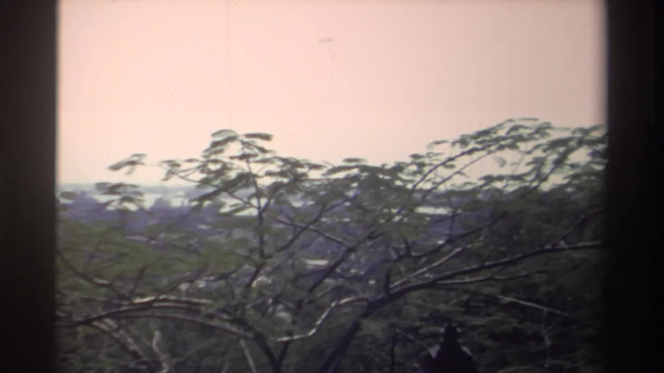 1982 Taiwan 8mm frame showing leafy treetops, bare branches, and a hazy distant skyline through a dark window frame.