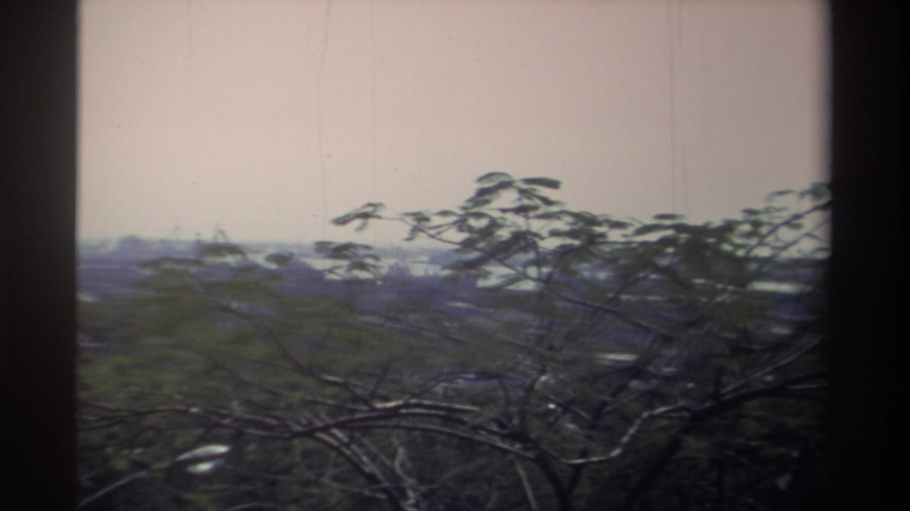 1982 Taiwan home-movie frame with green treetops in front of a soft distant cityscape and possible water beyond.