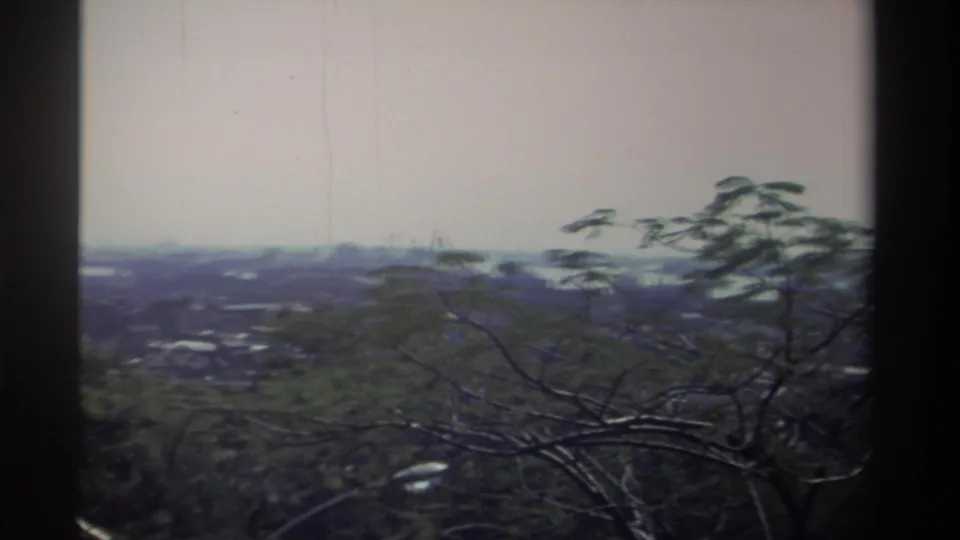 1982 Taiwan 8mm frame showing a soft, elevated view across branches toward low city buildings in the distance.