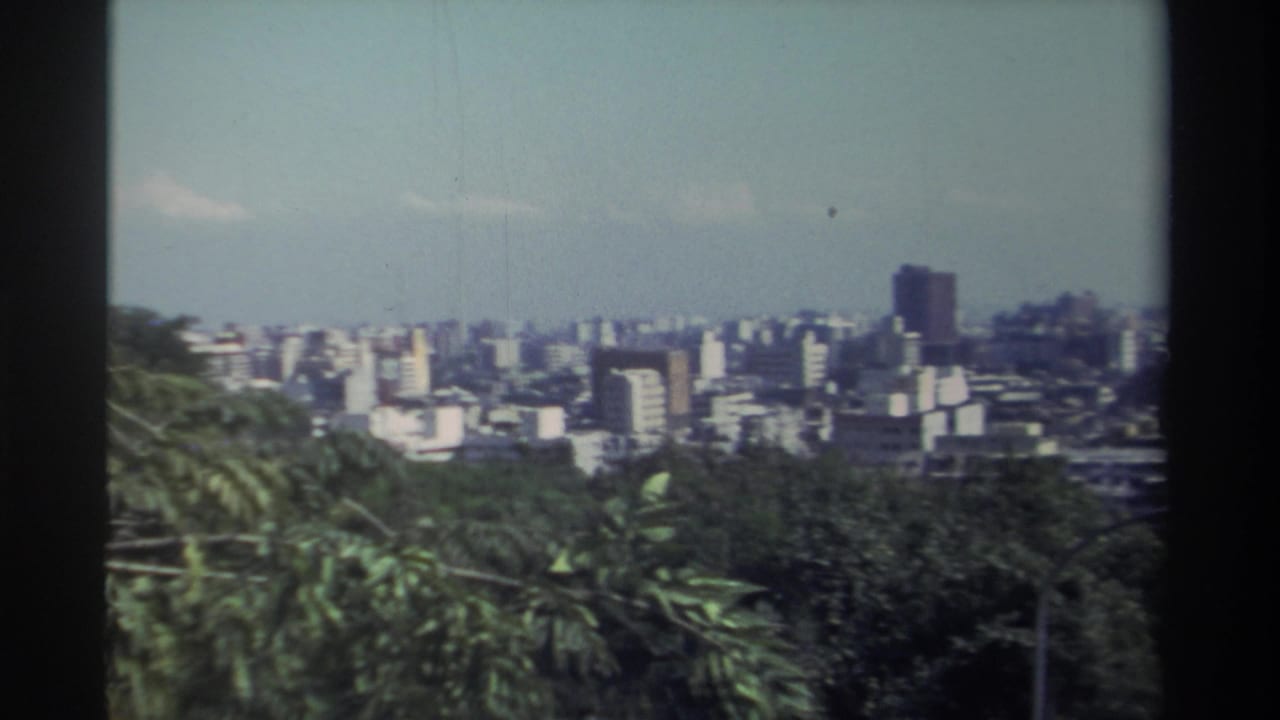 Elevated city panorama with trees in the foreground and mid-rise buildings under a hazy sky.
