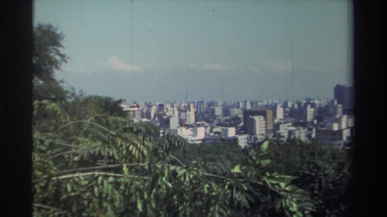 1982 Taiwan frame with green foliage in the foreground and a broad urban skyline of mid-rise buildings under pale haze.