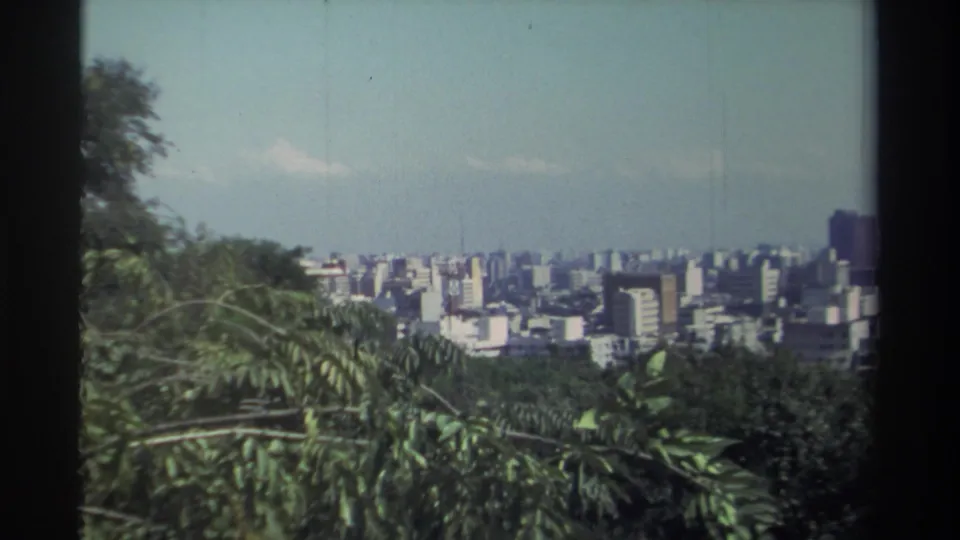 1982 Taiwan frame with green foliage in the foreground and a broad urban skyline of mid-rise buildings under pale haze.