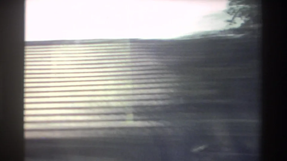 The final 1982 Taiwan road view is heavily blurred, with a corrugated roadside surface, dark window edge, trees, and bright sky.