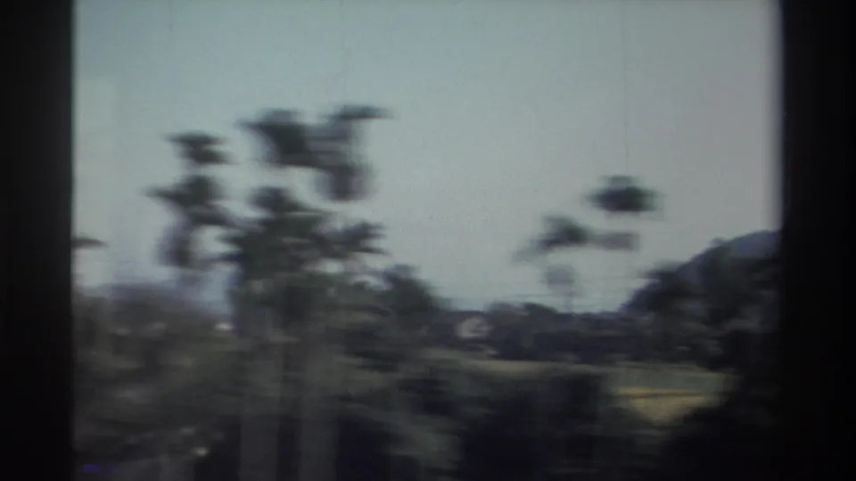 Taiwan 1982 home-movie frame with foreground trees blurred against farmland, low mountains, and a bright pale sky.