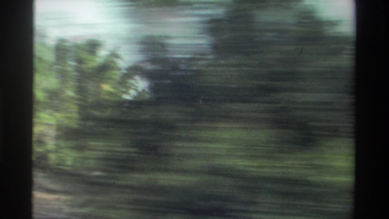 Green trees and roadside vegetation streaked by fast vehicle motion.