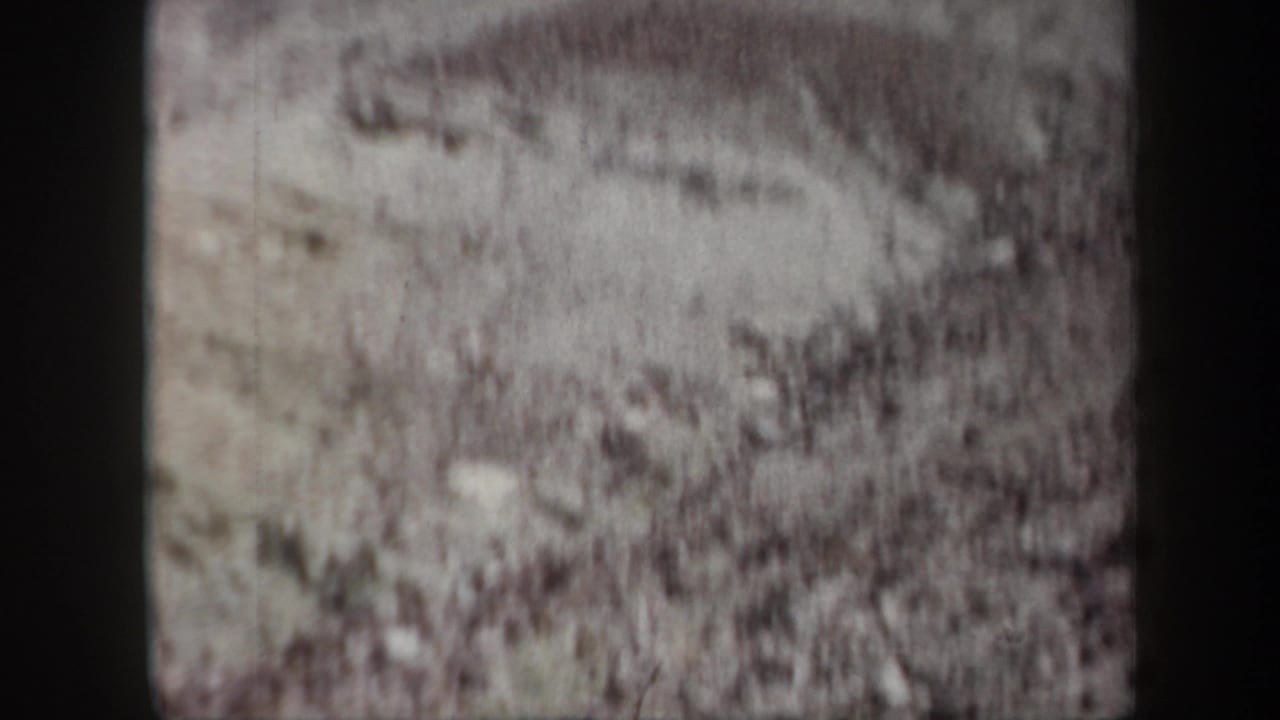 Soft, close view of pale rocky terrain with eroded textures.