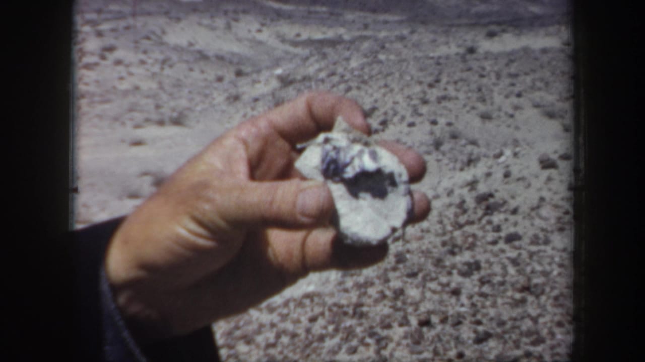 Hand holding a pale shell or rock above sandy desert ground.