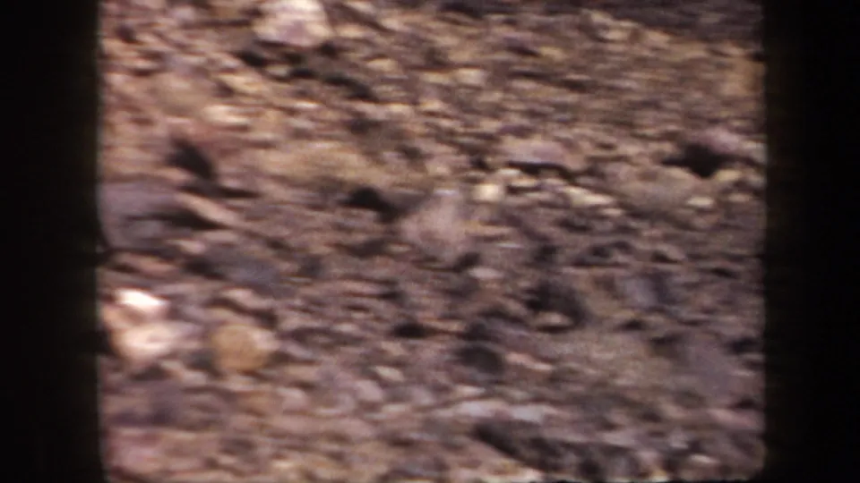 1957 Arizona 8mm frame showing blurred rocky desert ground and sparse brush, likely during handheld camera movement.
