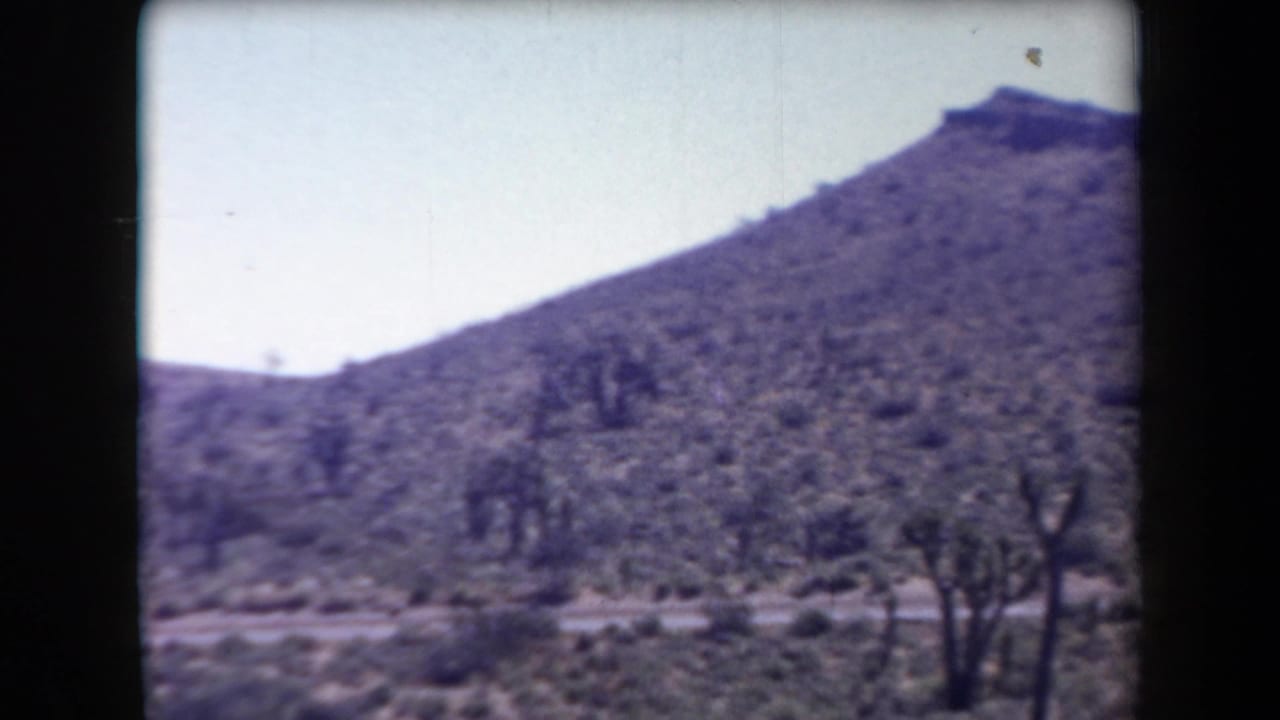 1958 Arizona desert view with a sloping hill, scattered Joshua trees, scrub, and a faint dirt road.